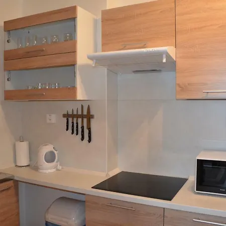 Apartman Pleso *